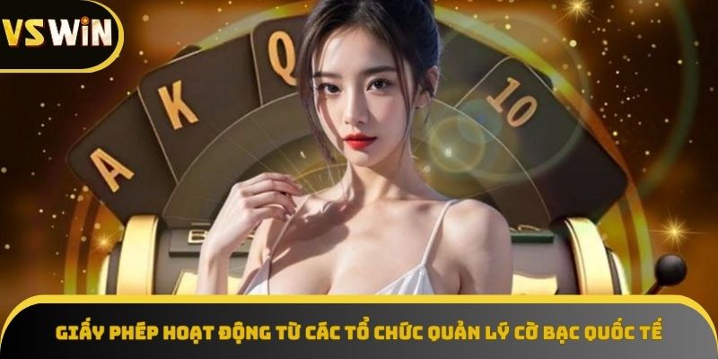 Vswin sở hữu giấy phép hoạt động